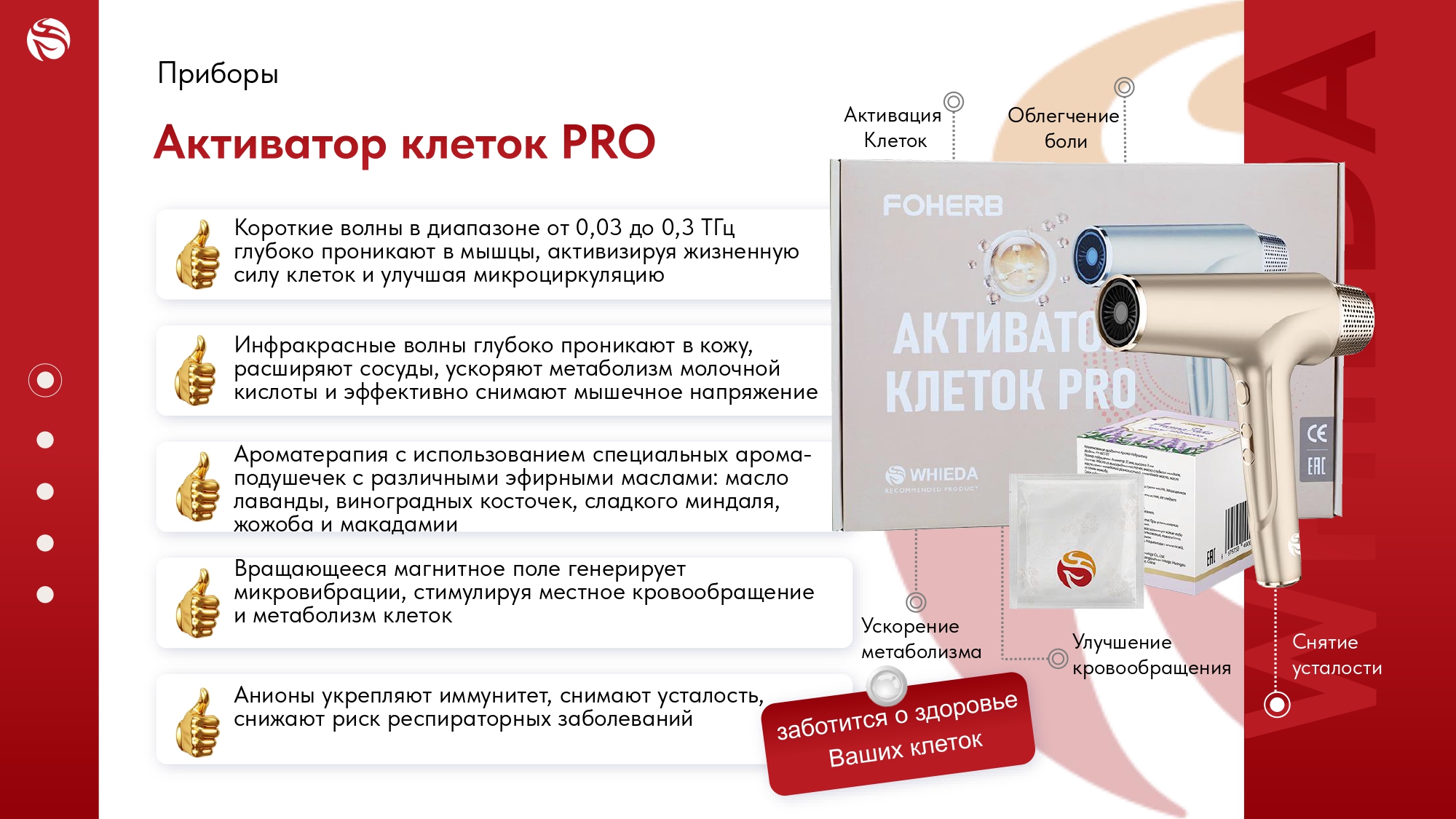 katalog-iz-marketing-plana_page-0003.jpg